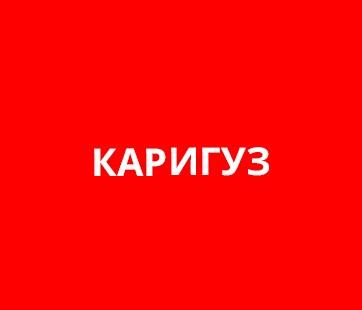 Каригуз